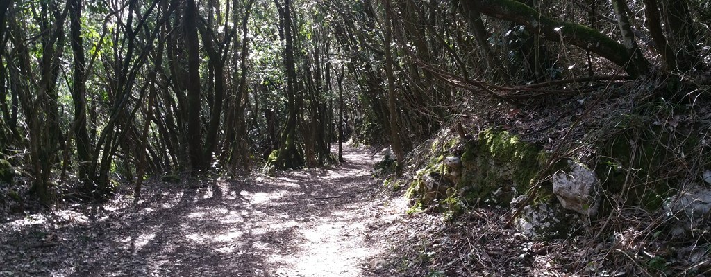 Monte Buciero. Santoña.