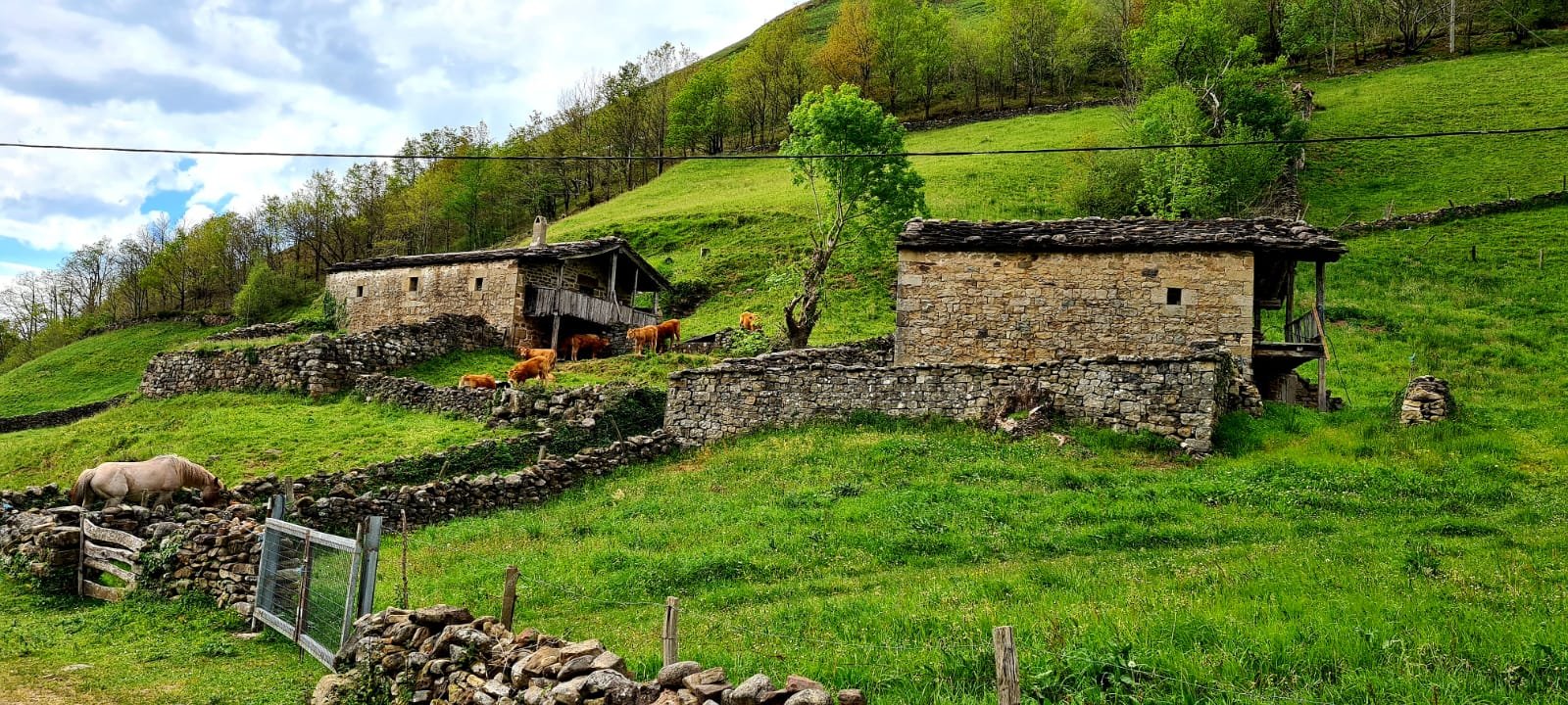 Los Valles Pasiegos.